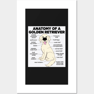 Anatomy of a Golden Retriever Posters and Art
